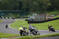 Advanced Group Yellow Bikes